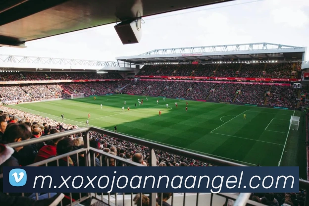 乐竞体育平台生态图